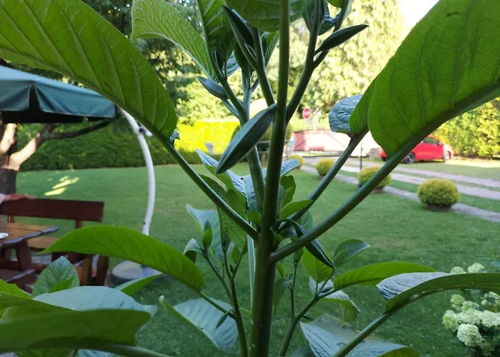 Ubytování v soukromí Agat